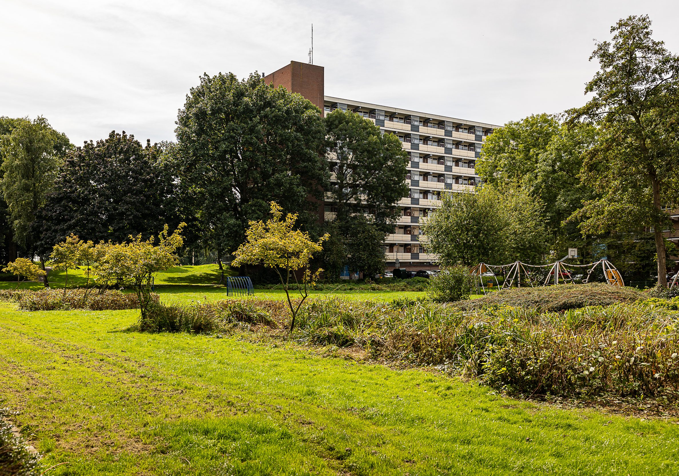 Gras en bomen en speelplaats bij de appartementen Peuleyen