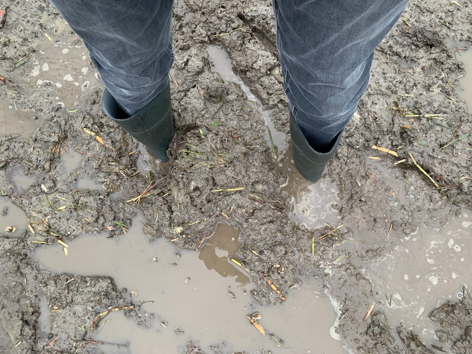 twee benen in met kaplaarzen aan staan in een onder water gelopen stuk grond op de plek waar de bomen geplant moeten worden.